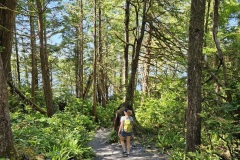 Tonquin-Coastal-Trail-Tofino