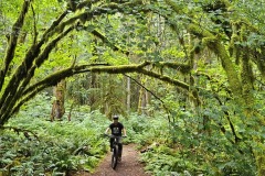 Wonderland-Trail-Squamish