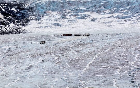COLUMBIA ICEFIELD – Discovery Sightseeing Tour